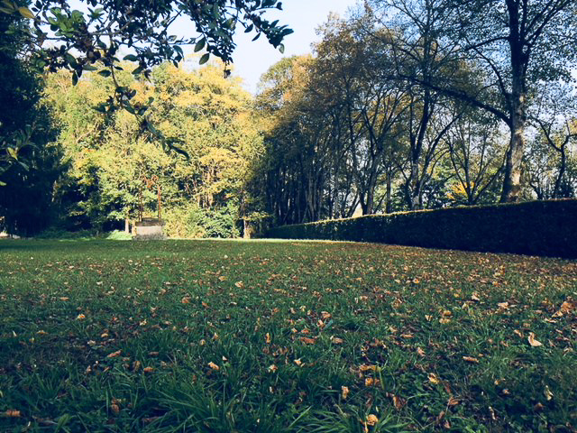 La Maison de la grille du Château d'Hodebert, Saint-Paterne-Racan - photo 14