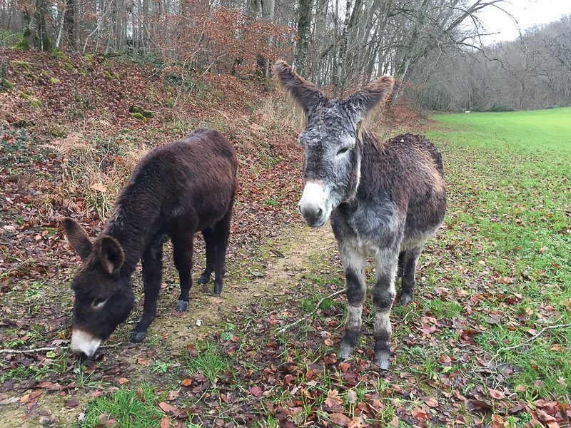La Maison de la grille du Château d'Hodebert, Saint-Paterne-Racan