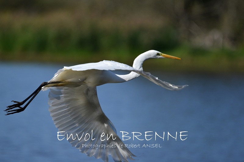 Atelier Galerie Brenne à Coeur, Paulnay