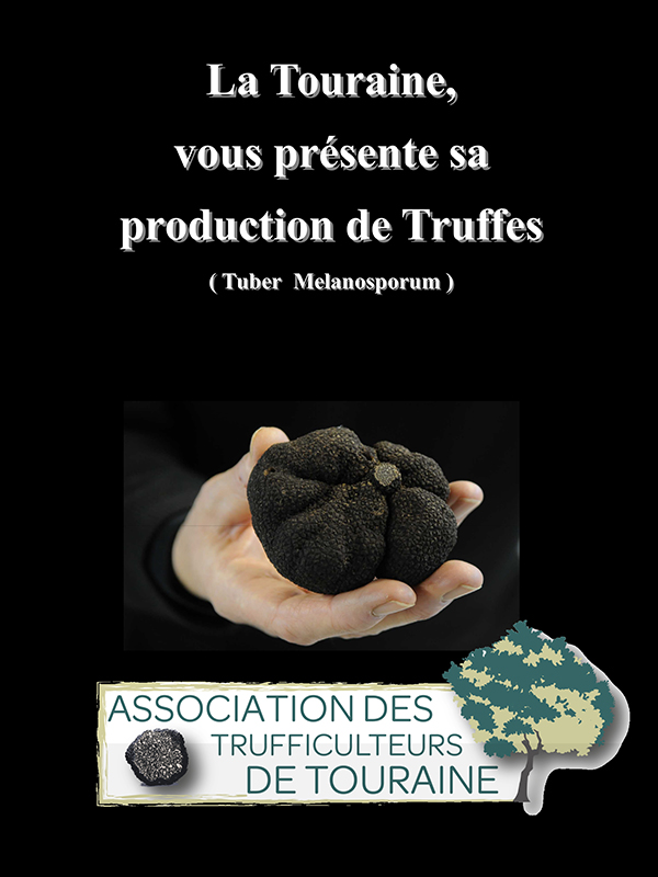 Marché aux truffes©