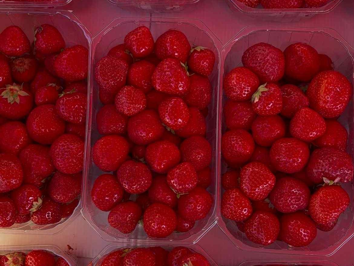 Marché de Sully-sur-Loire - Lundi, Sully-sur-Loire - photo 2