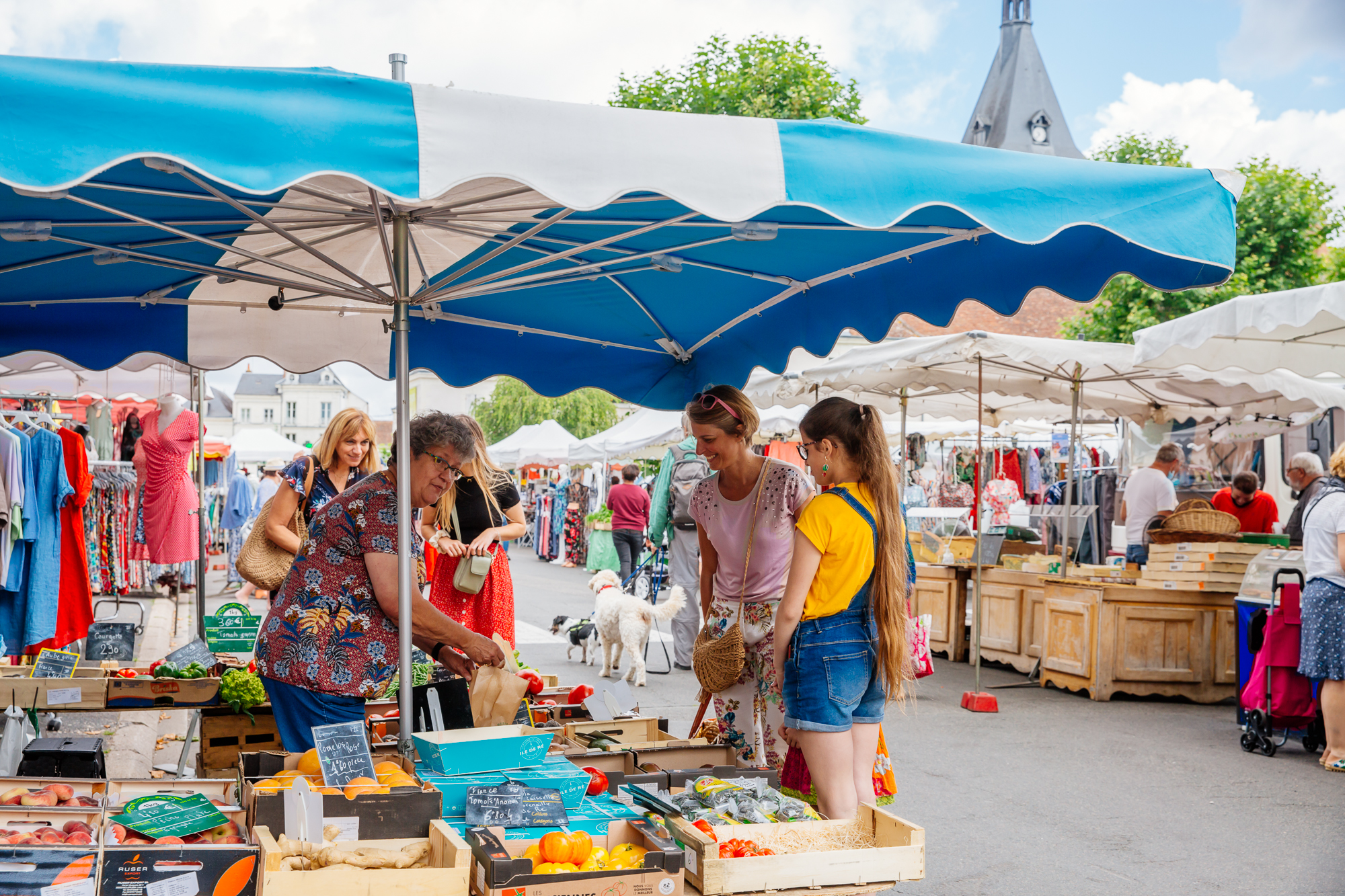 Marché hebdomadaire de Contres — Mercados e Feiras à Loir-et-Cher