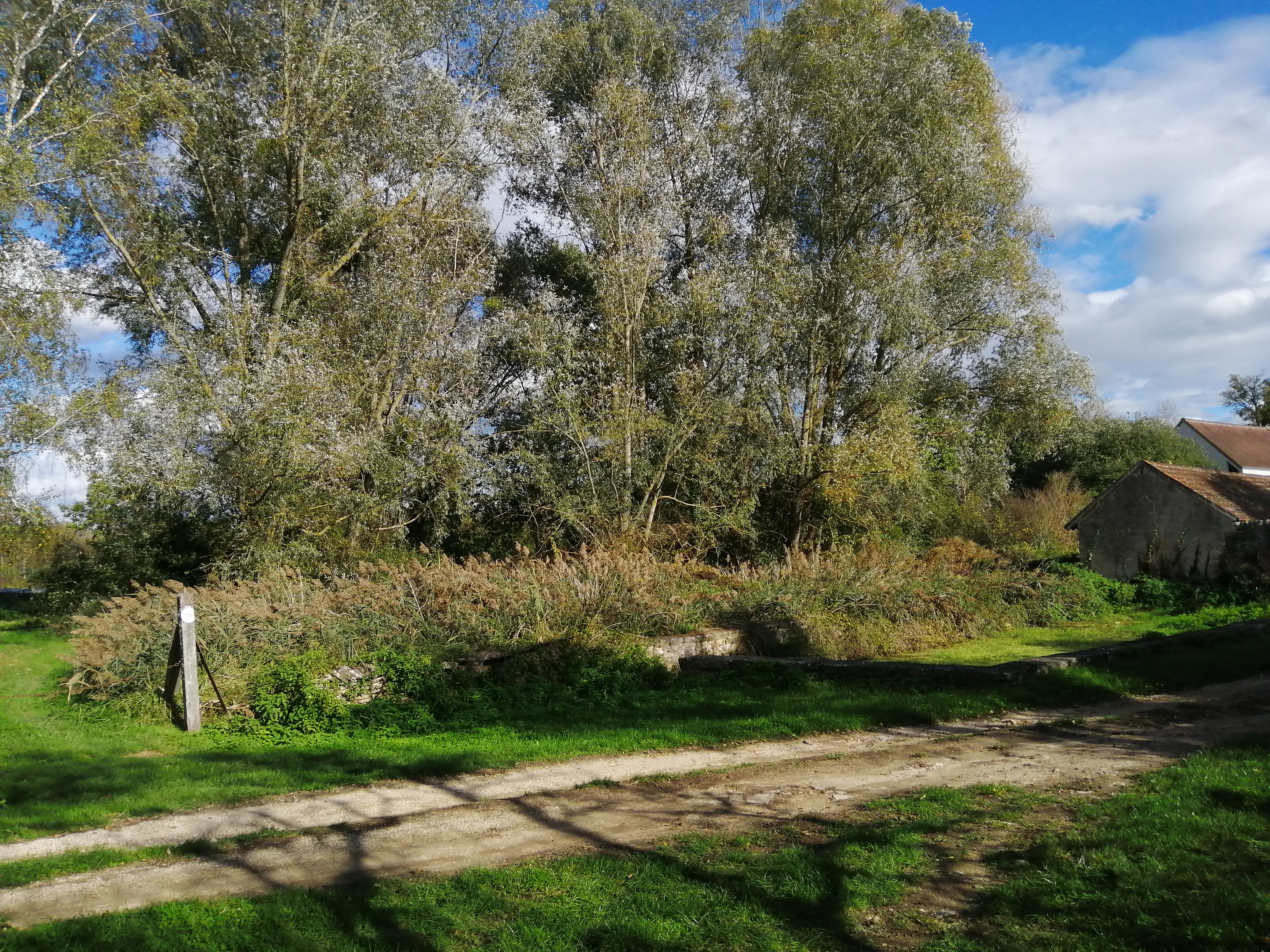 Suivez la huppe- La celle, La Celle - photo 2