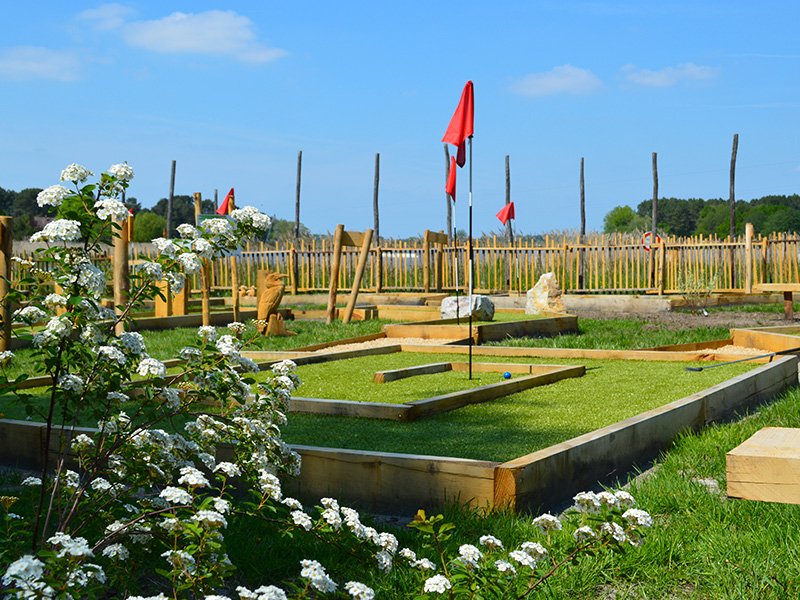 Mini-golf aux oiseaux