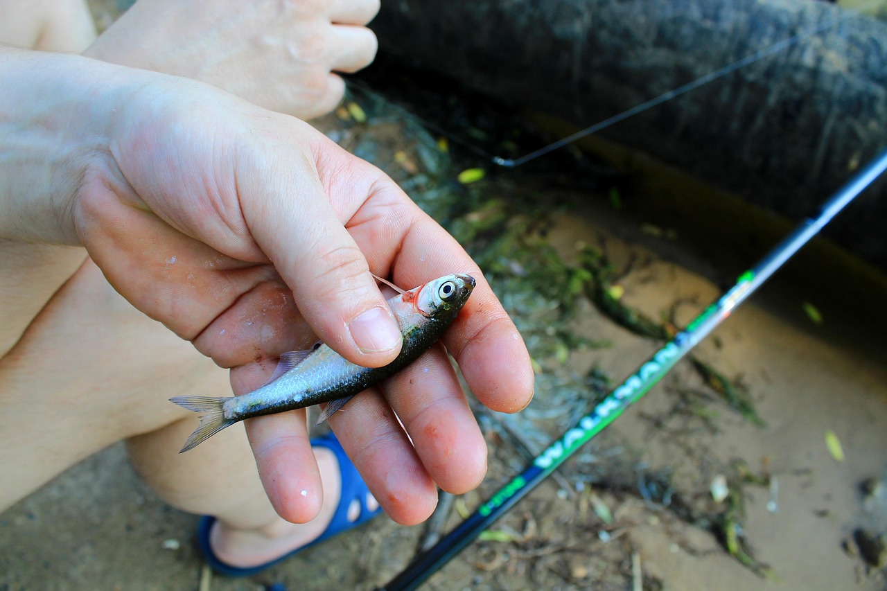 Stage de pêche aux leurres (ados)