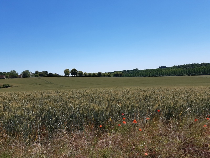 Le chemin des légendes, Montrésor - photo 7