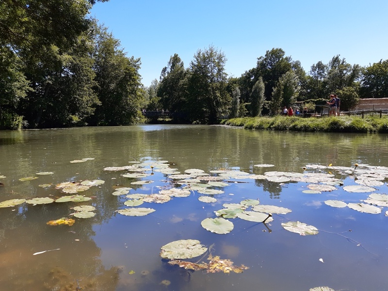 Le chemin des légendes, Montrésor - photo 4