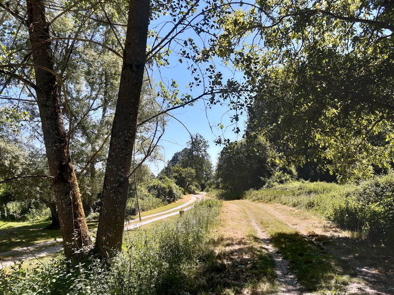 Le chemin des légendes, Montrésor