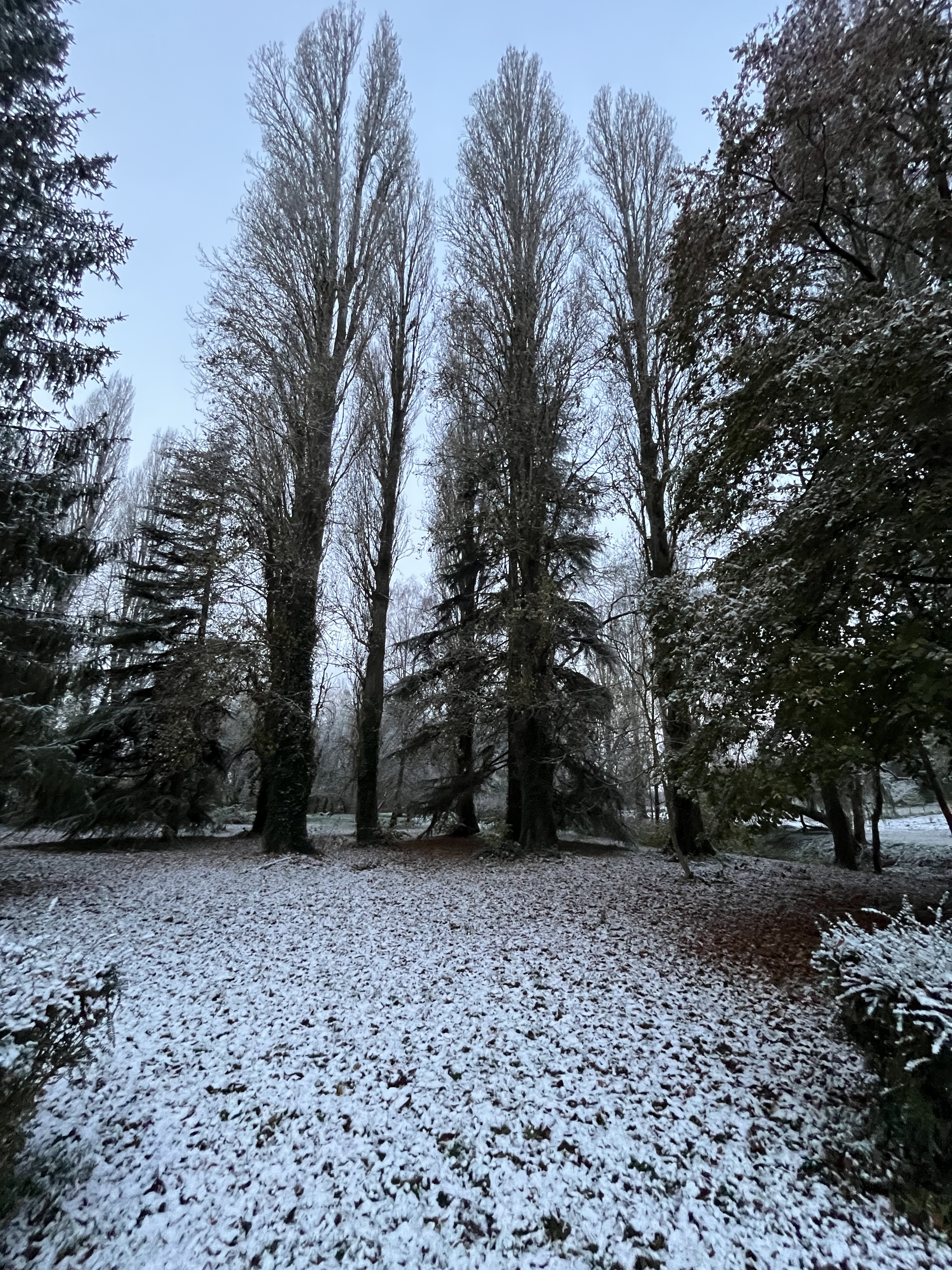 Domaine du moulin de la plaine, Troo - photo 20