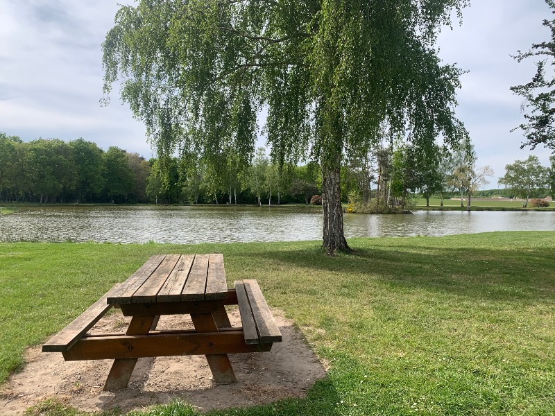 Aire de pique-nique de Nesploy