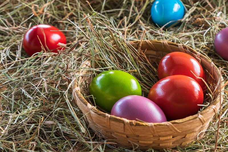 Chasse aux oeufs