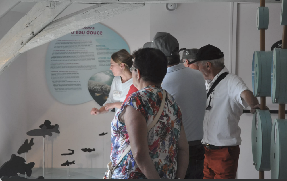 Une soirée au musée