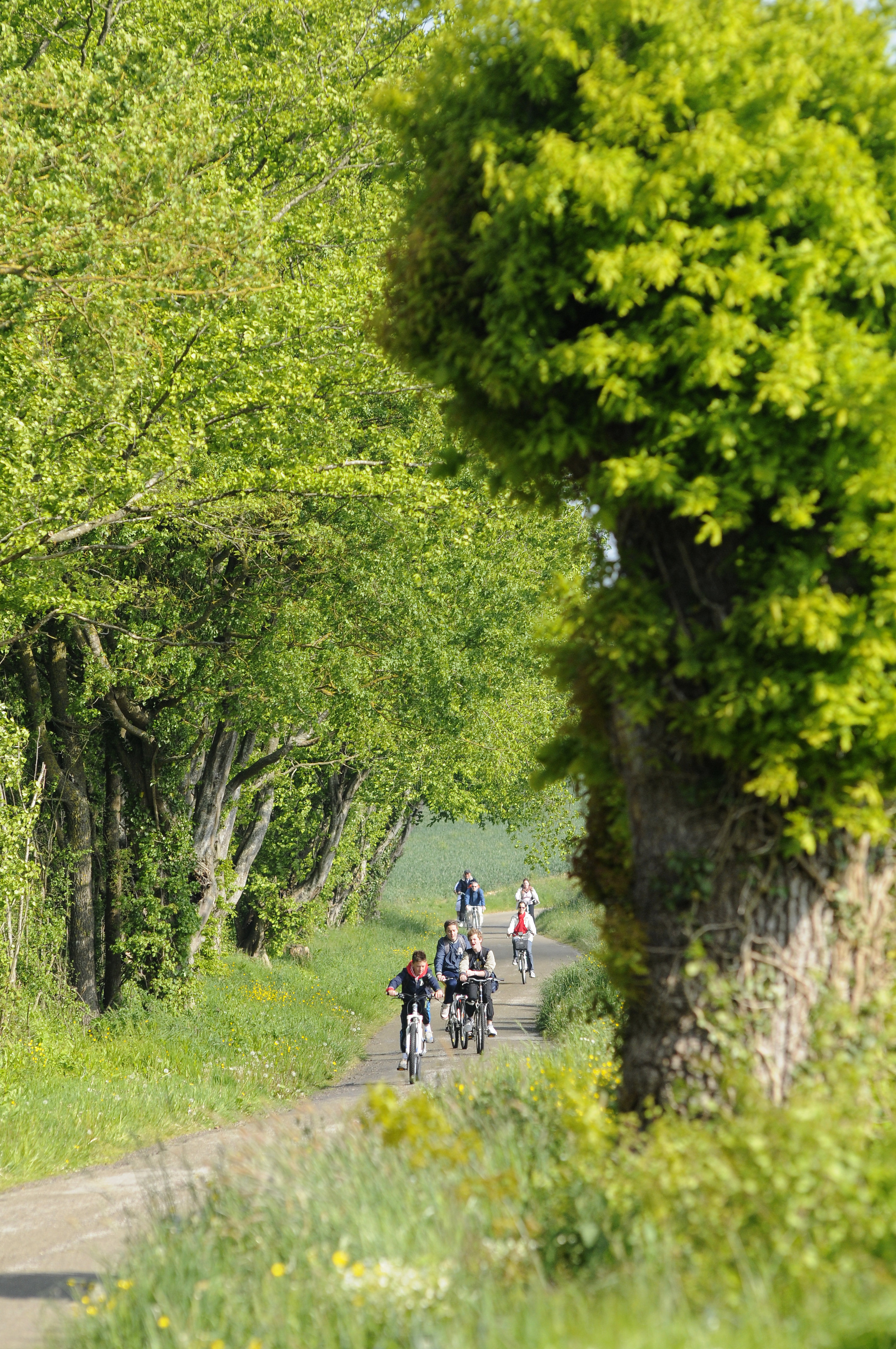 Sur les terres de Guillaume Gouet - n°15