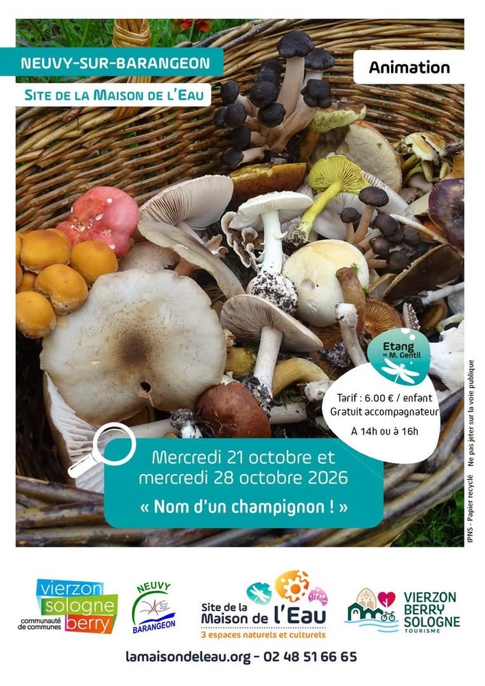 Nom d'un champignon !