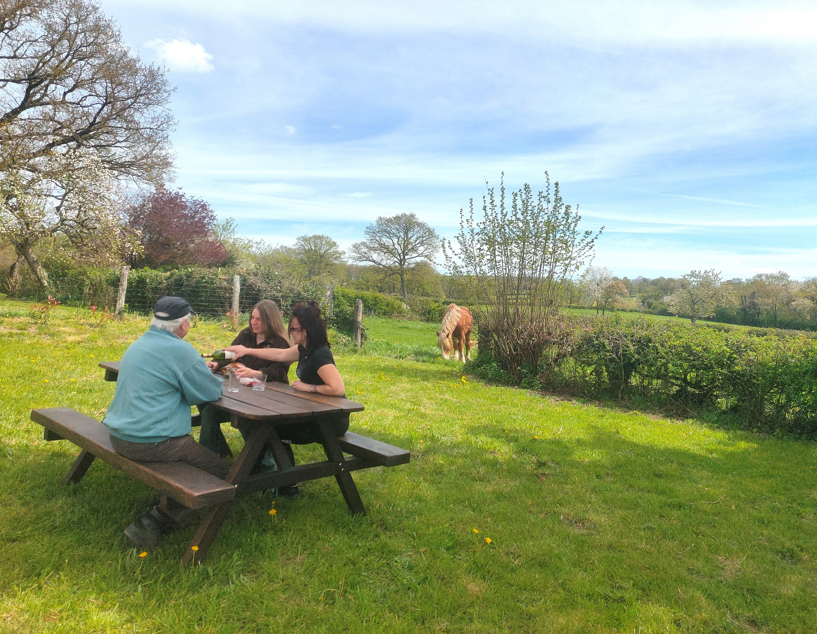 Mini séjour découverte nuit en roulotte et balade en calèche, Saint-Priest-la-Marche - photo 6