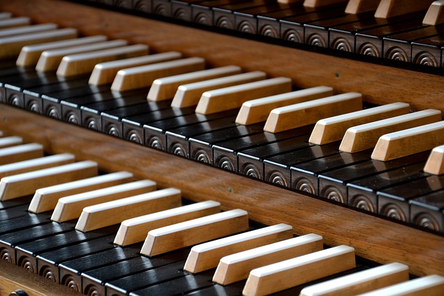 Concert d'orgue à l'église Saint Denis