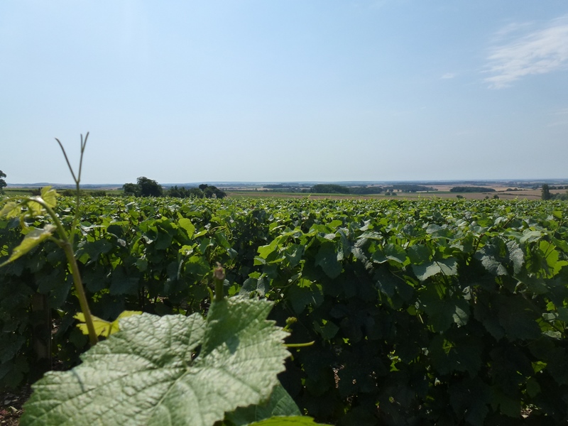 Cave Pascal & Pierre Bourgeois