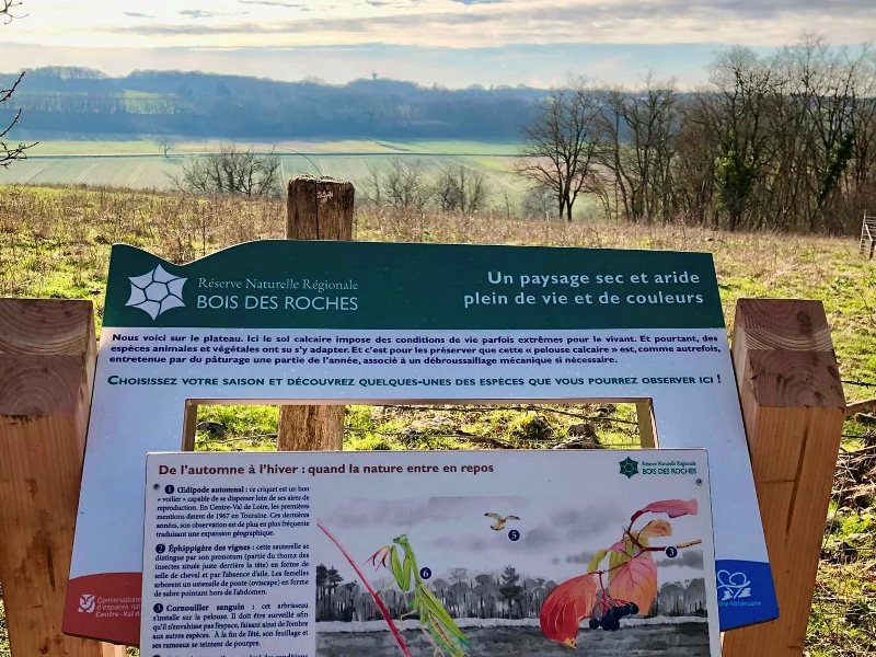 Réserve Naturelle Régionale du Bois des Roches, Pouligny-Saint-Pierre - photo 2