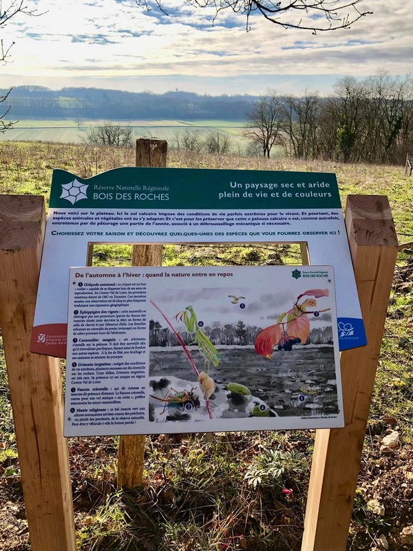Sentier de découverte du Bois des Roches