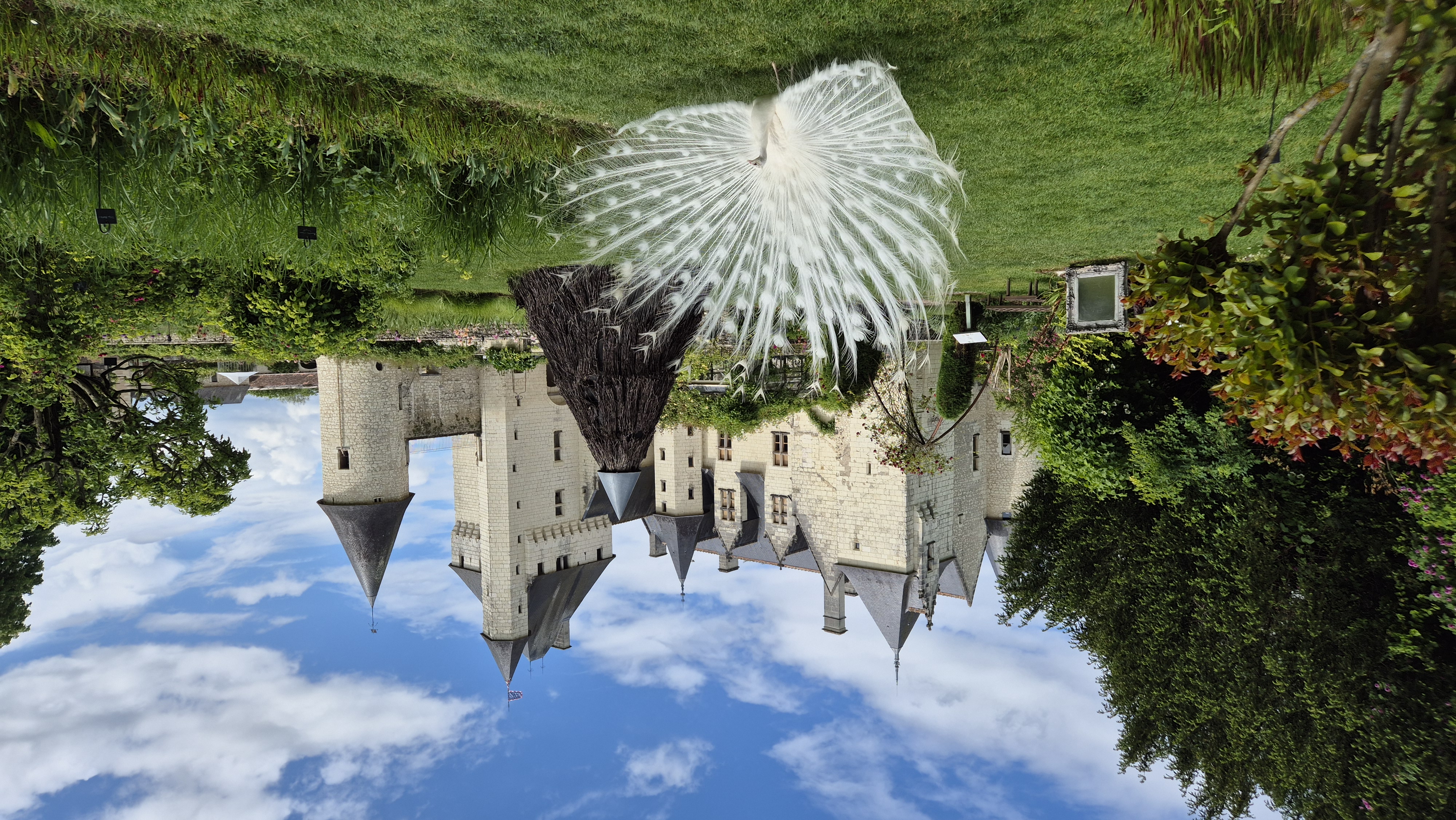 Château et Jardins du Rivau, Lémeré - photo 16