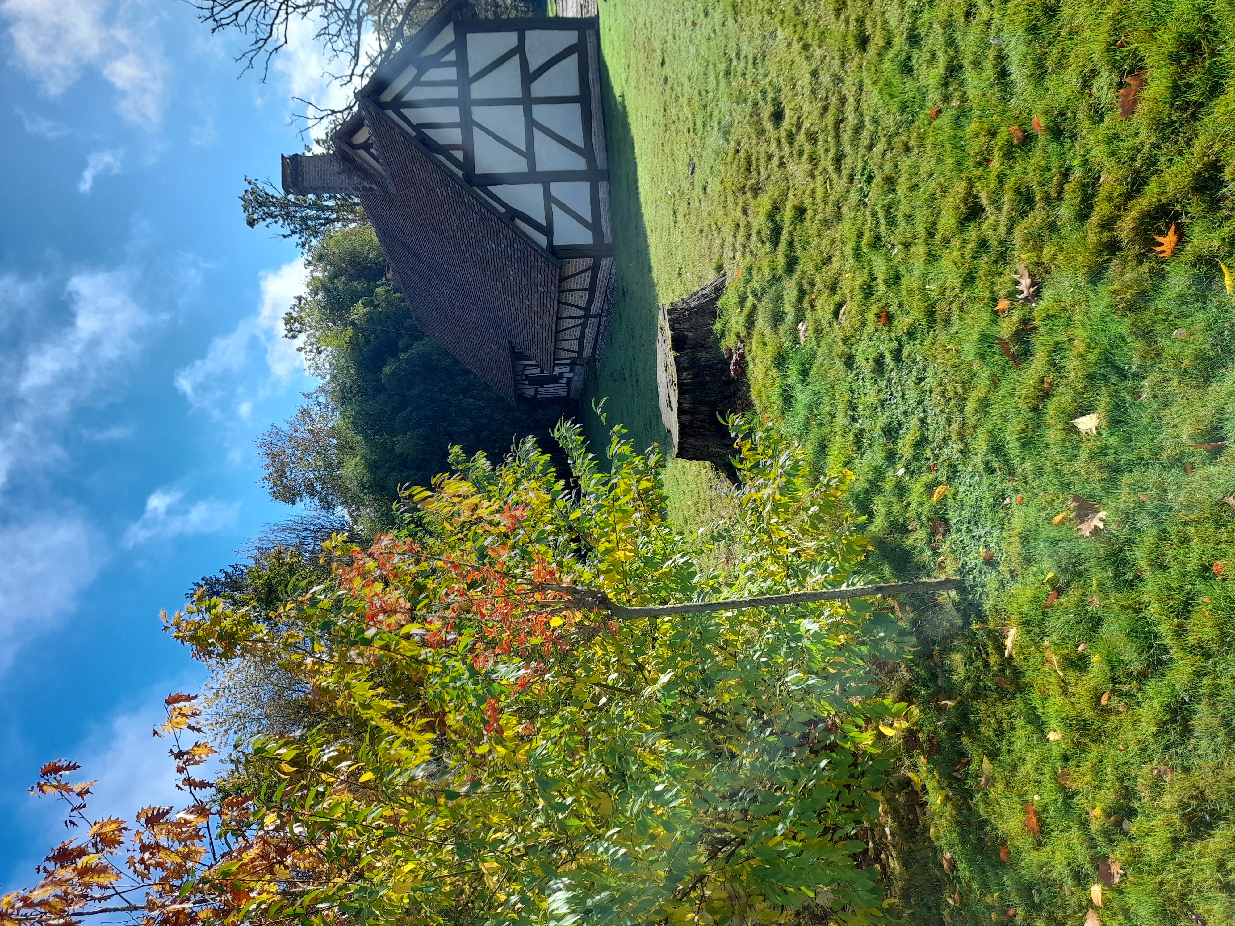 Gite des Grandes Tasnières, Nançay - photo 9