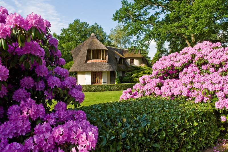 Hôtel Relais & Chateaux : Auberge des Templiers, Boismorand - photo 8