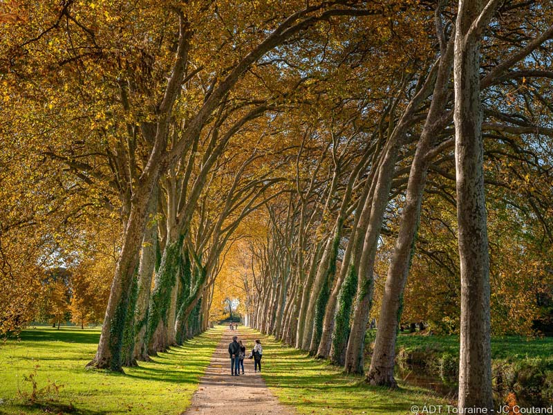 Parc de Richelieu, Richelieu - photo 8