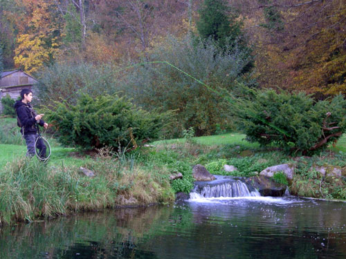 LE DANICA PECHE PARCOURS A LA MOUCHE, Dordives - photo 3