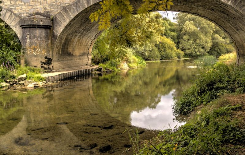 Espace Mis et Thiennot, Le Tranger - photo 2