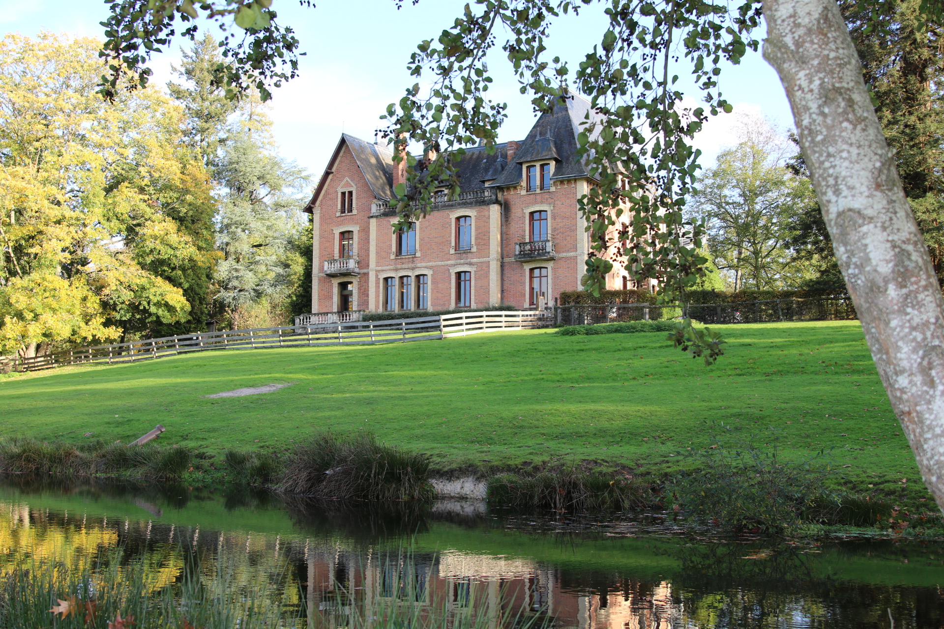 Domaine du Ciran, Ménestreau-en-Villette - photo 3