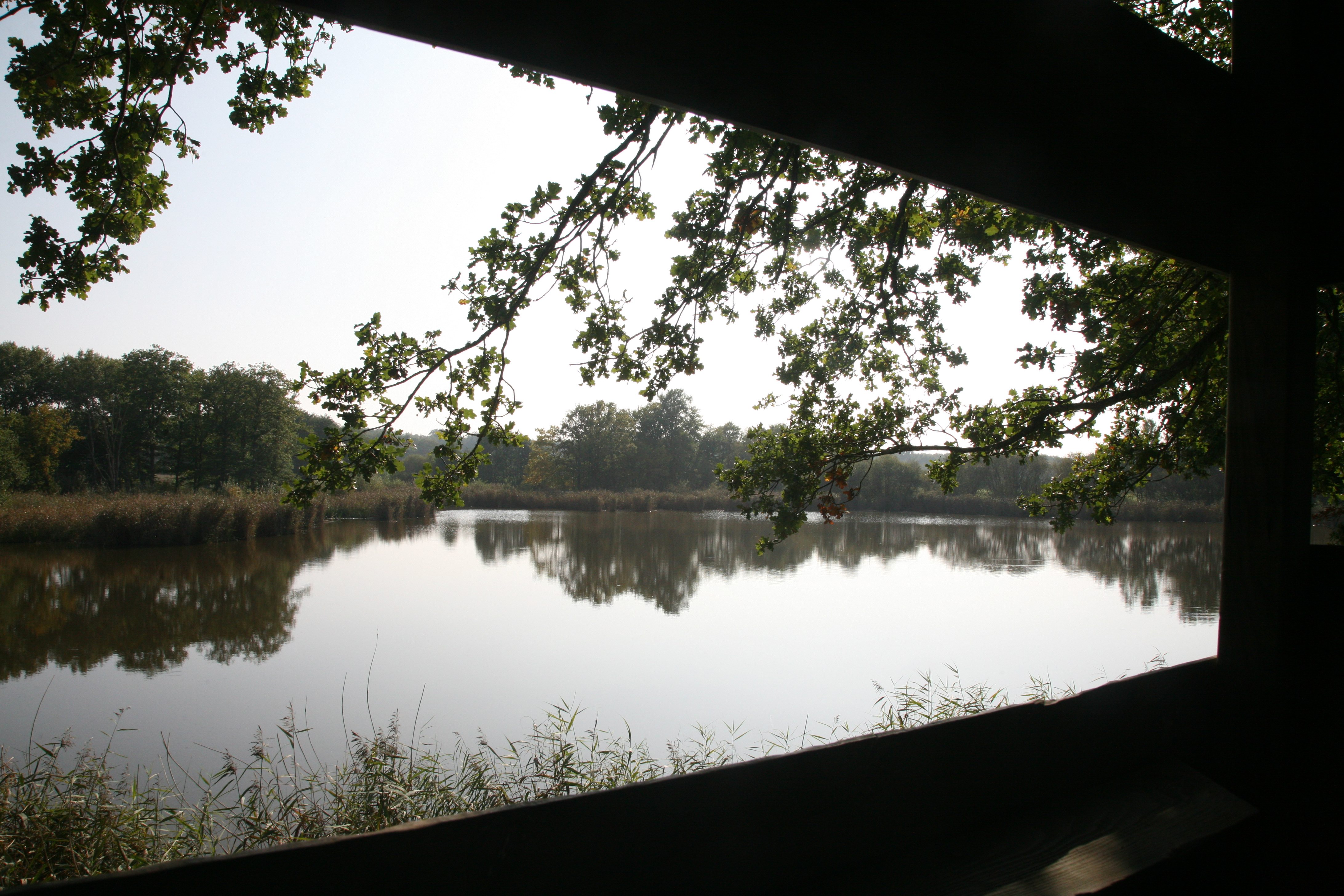Domaine du Ciran, Ménestreau-en-Villette - photo 2