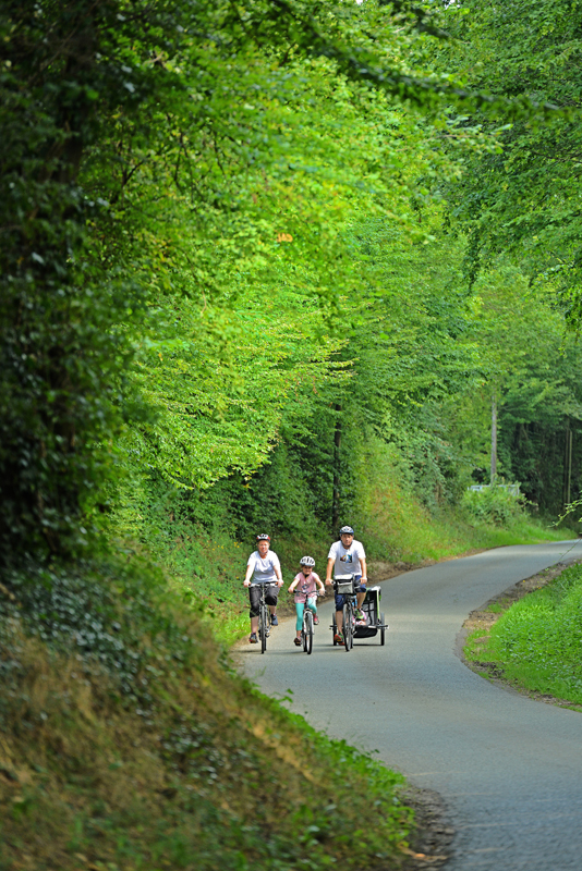 Sous le regard de Cerise - n°14