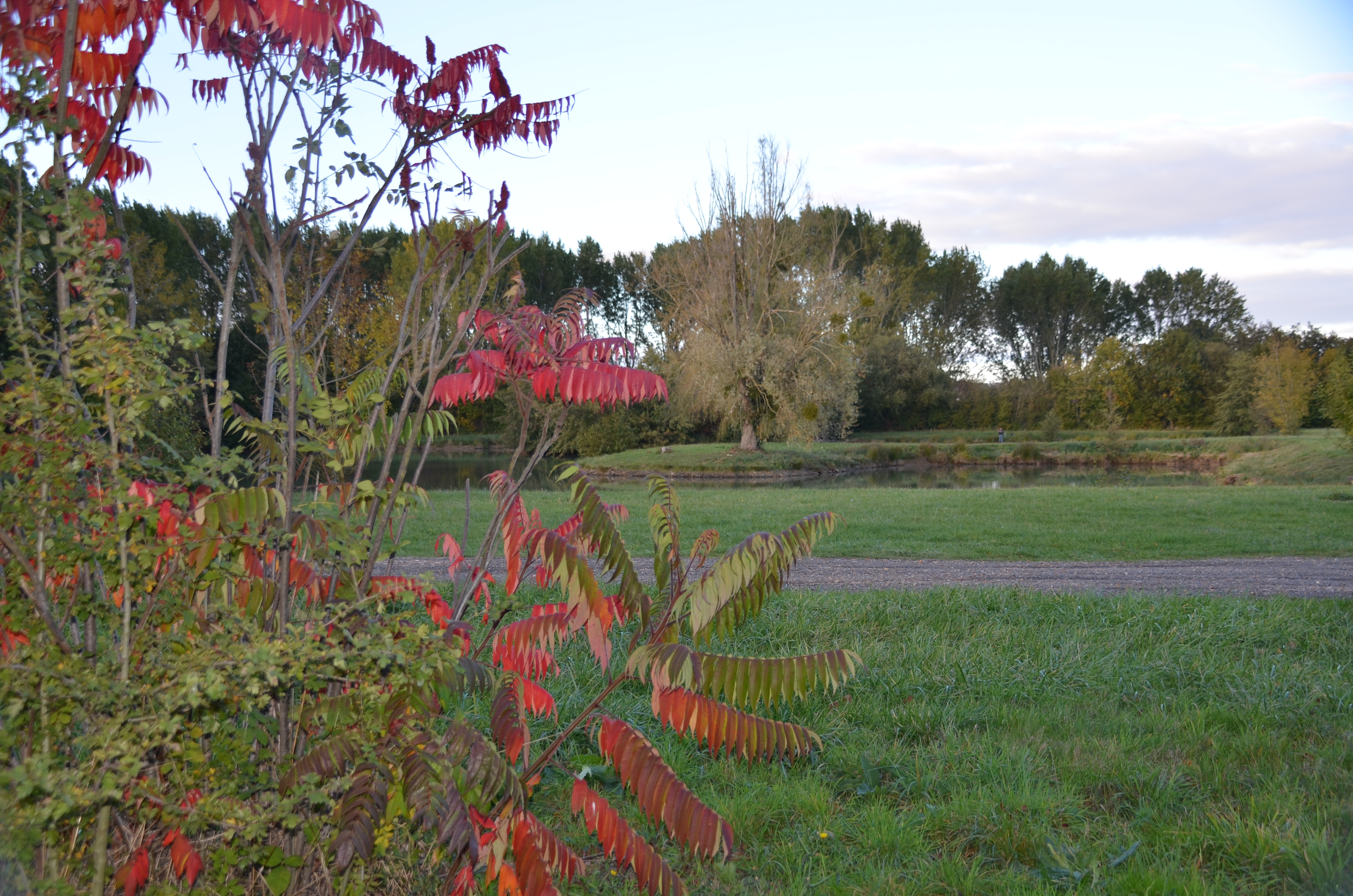 Sites de pêche autour de Brou, Brou - photo 2