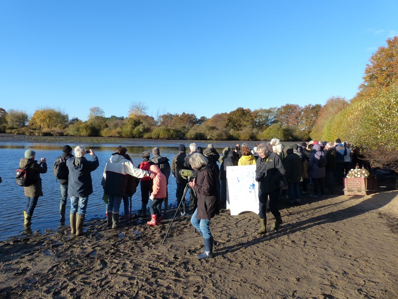 Pêche de l'Etang Bénismes