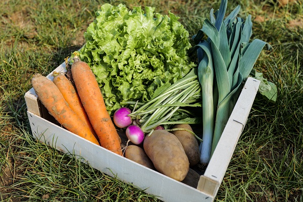 Les Jardins de Beauce