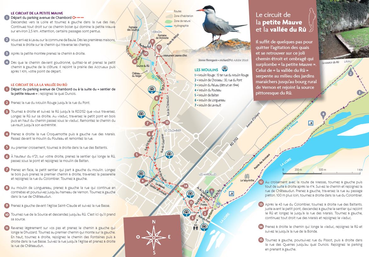 Le sentier de la petite Mauve et de la vallée du Rû, Beaugency - photo 4