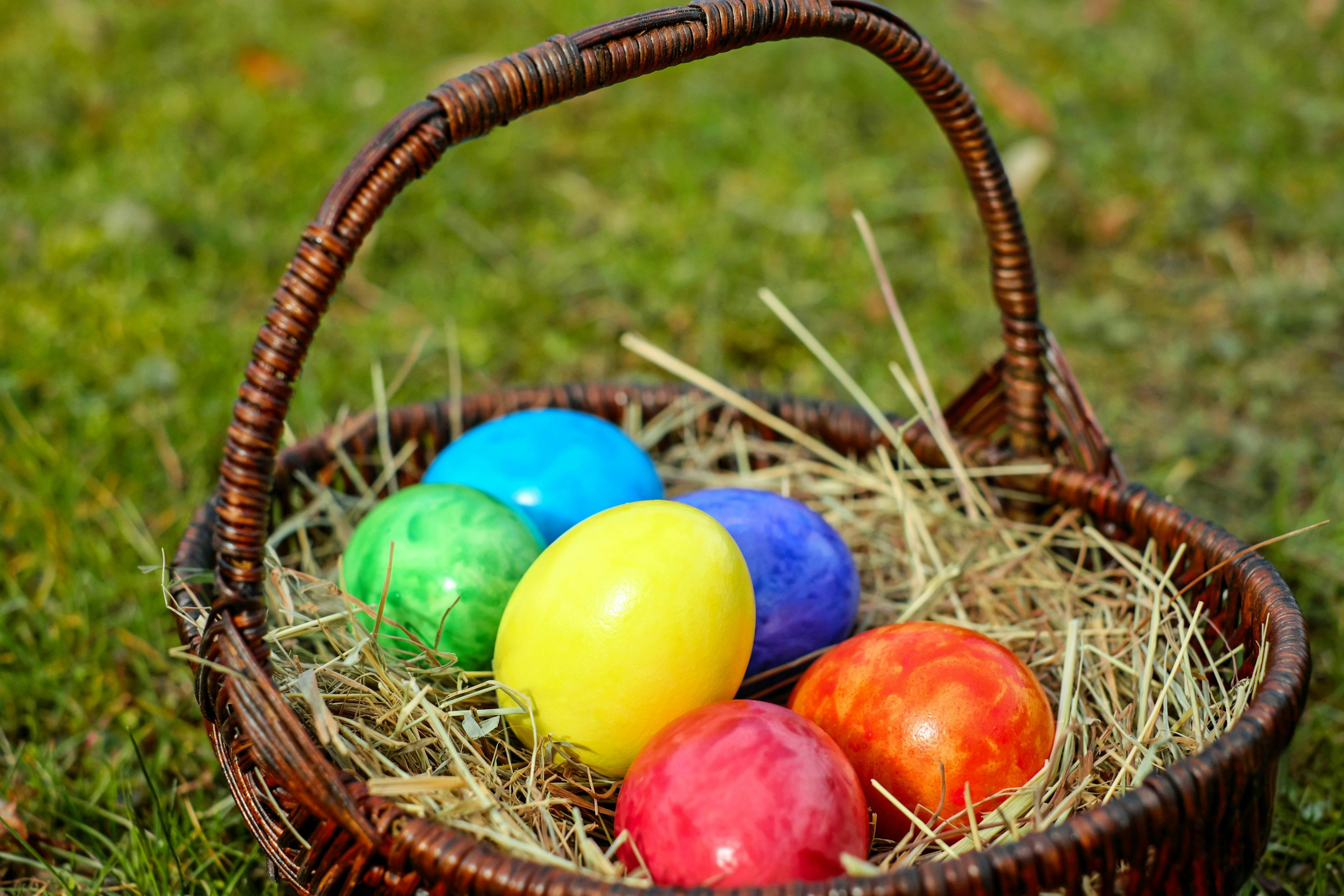 Chasse aux oeufs de Pâques