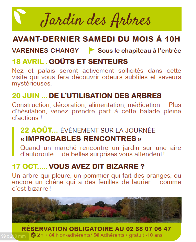 De l'utilisation des arbres