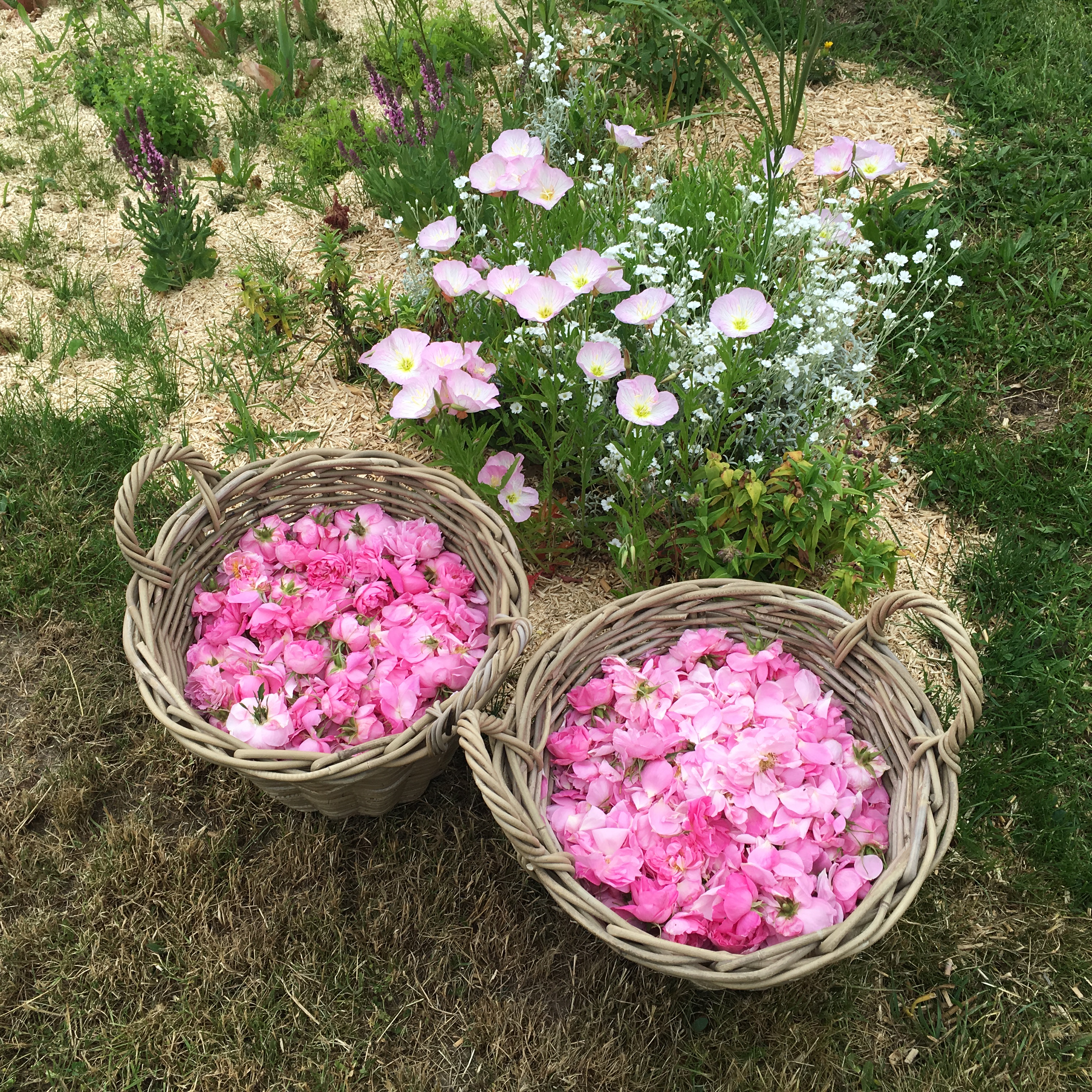 Domaine de Beau-Lièvre — Producteurs & Artisans à Loiret