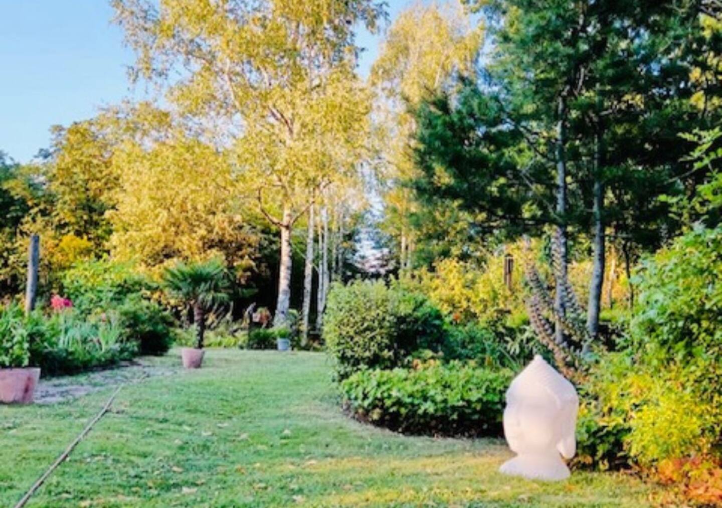 Le jardin de la pichonnerie, Thésée - photo 7