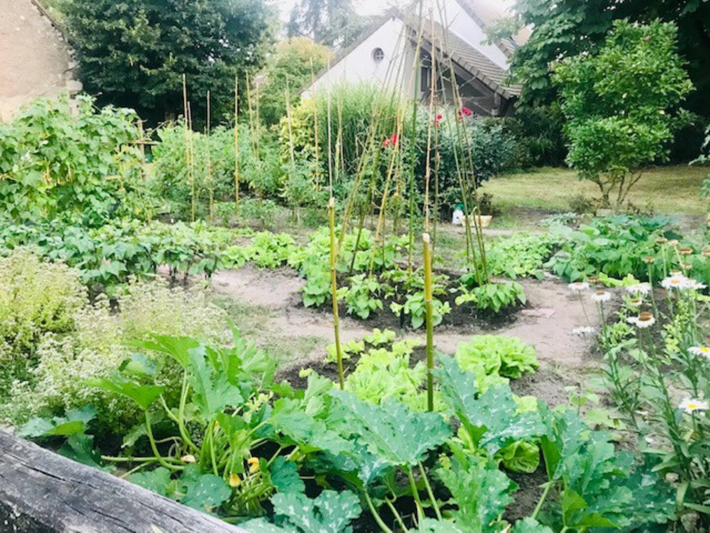 Le jardin de la pichonnerie, Thésée - photo 11