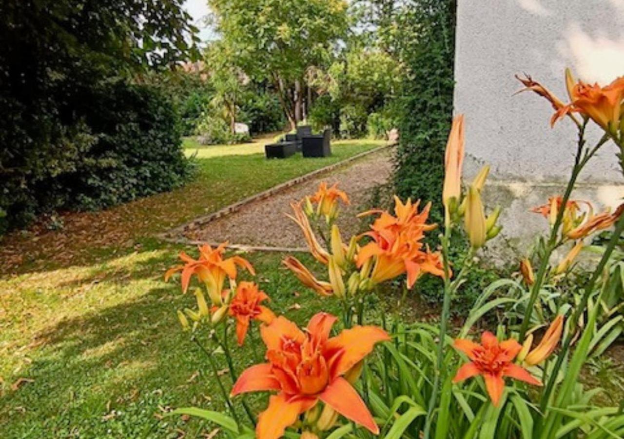 Le jardin de la pichonnerie, Thésée - photo 12