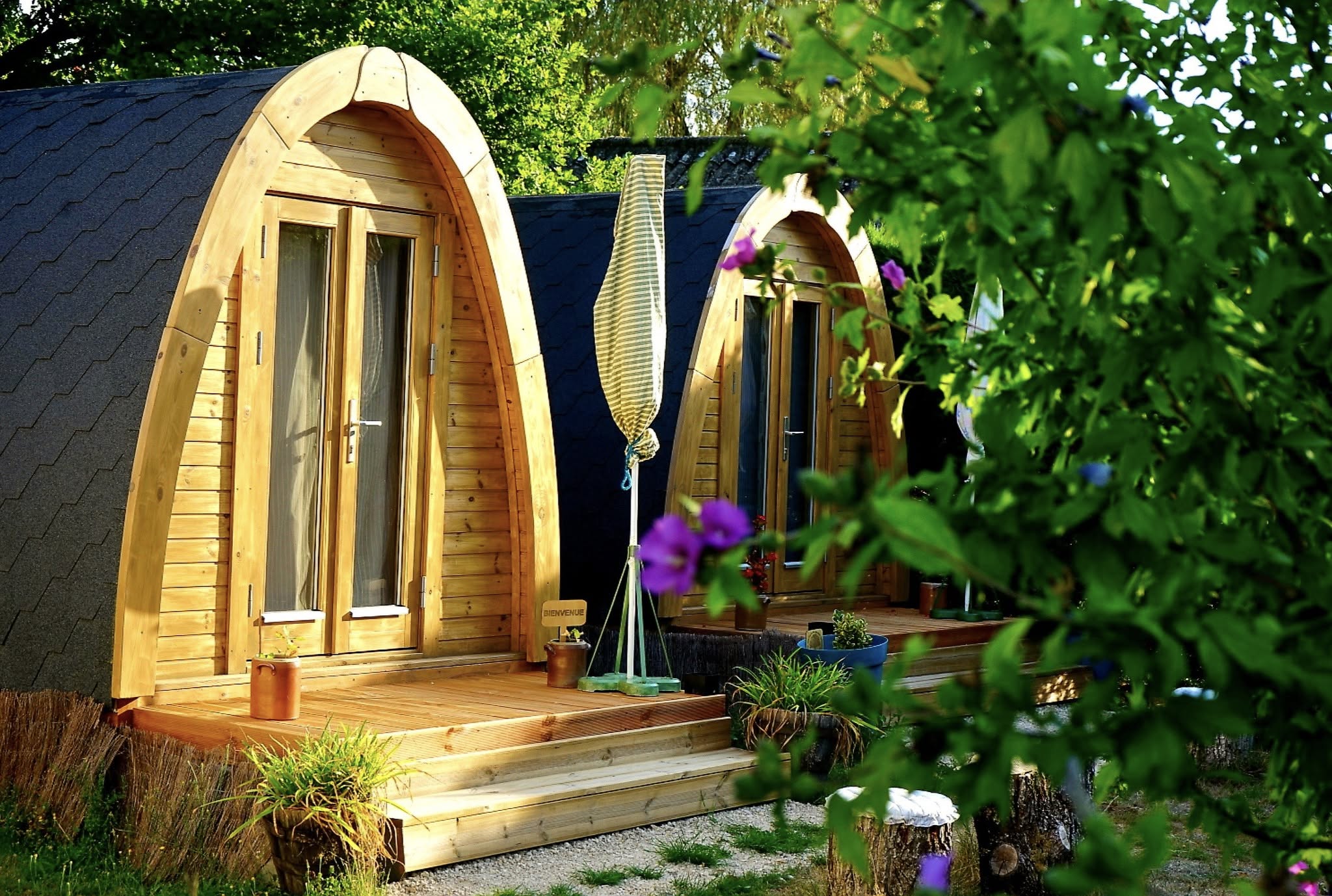 Auprès de mon arbre, Villefranche-sur-Cher - photo 2