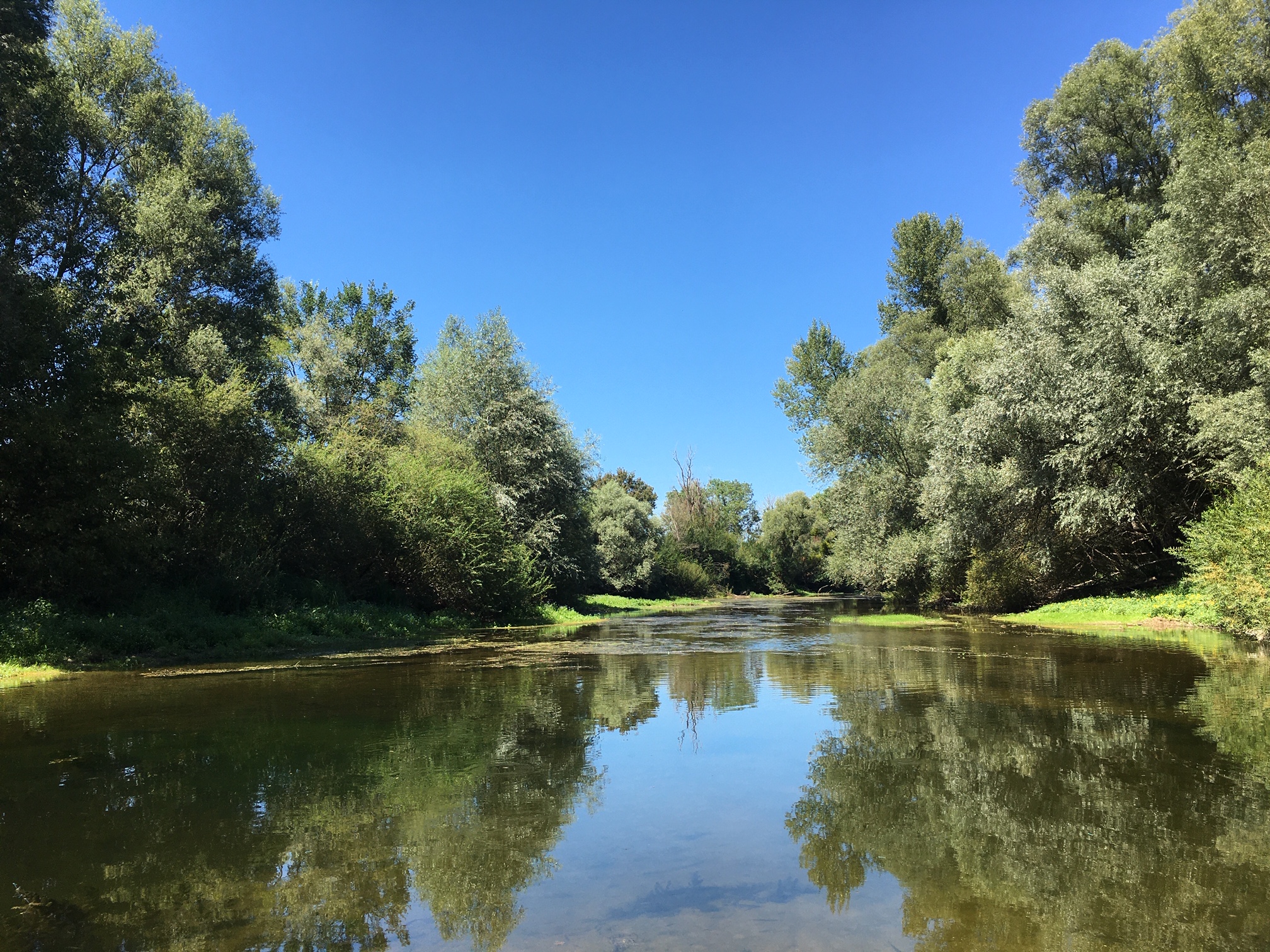 Massages du Monde, spa et hébergement, Saint-Georges-sur-la-Prée - photo 20