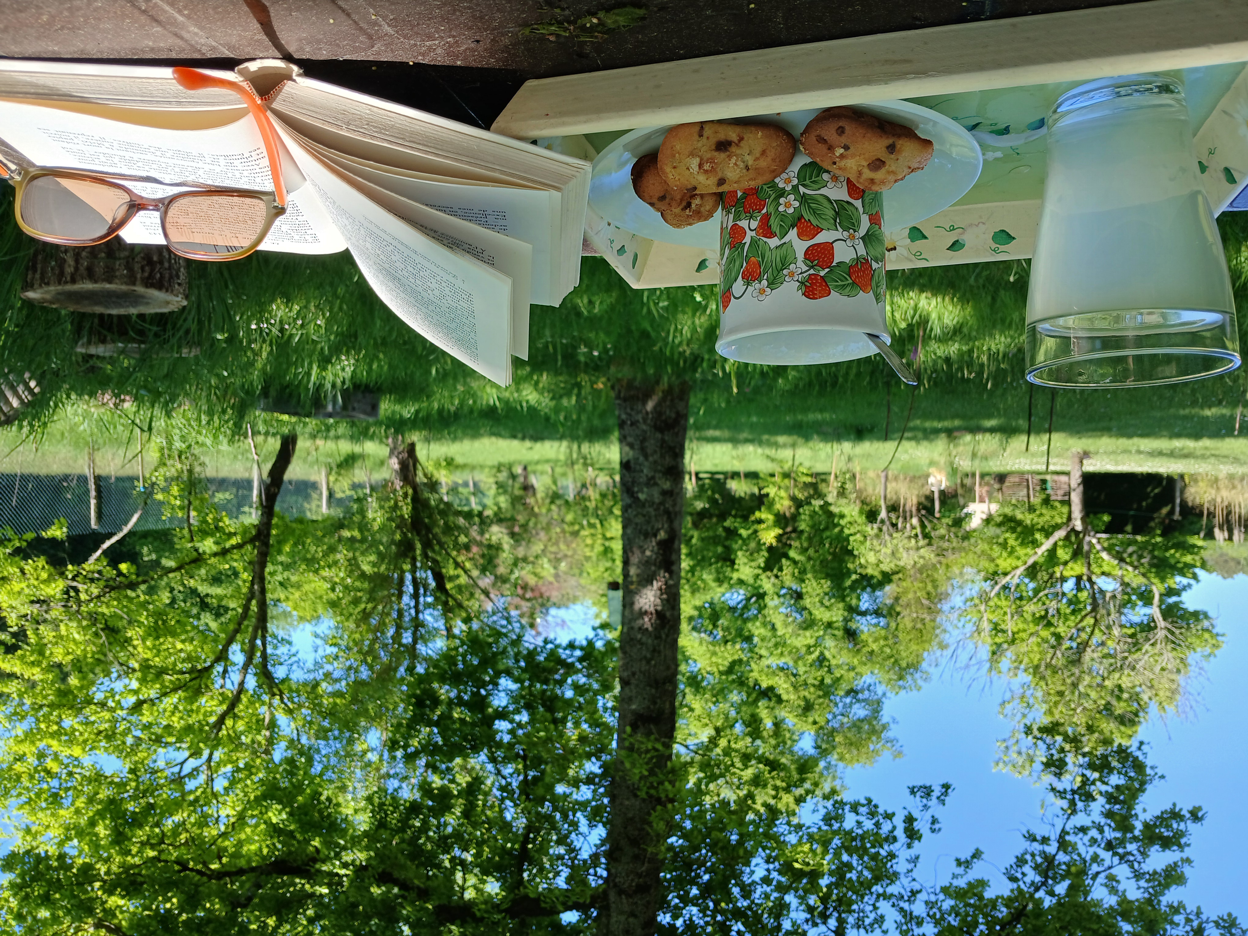 Auprès de mon arbre, Villefranche-sur-Cher - photo 4