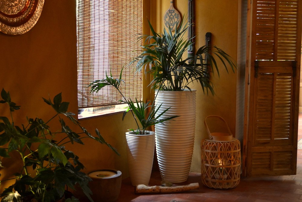 Massages du Monde, spa et hébergement, Saint-Georges-sur-la-Prée - photo 14