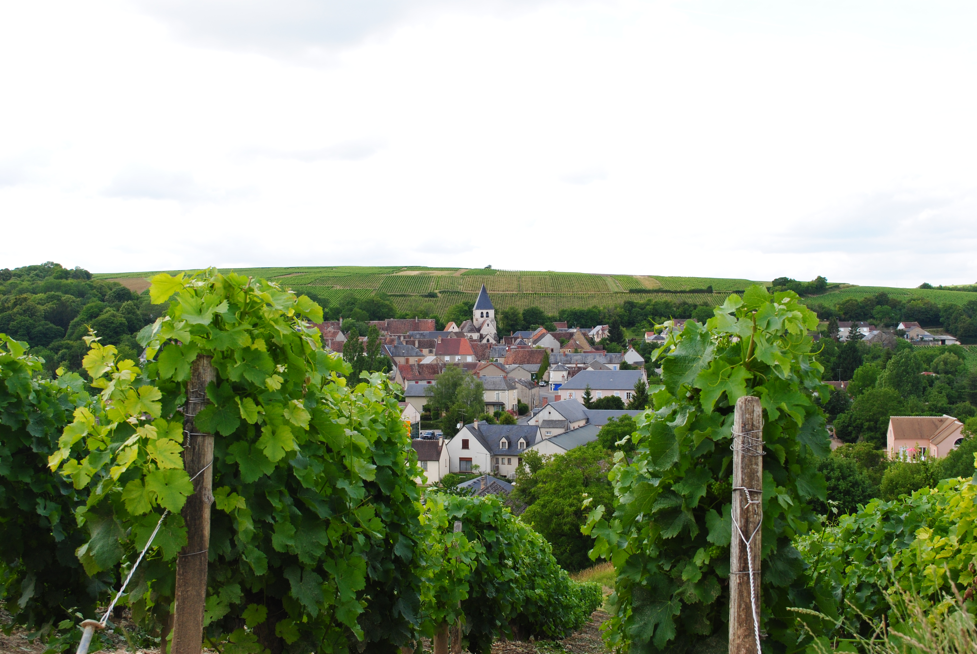 Village viticole de Sury-en-Vaux©