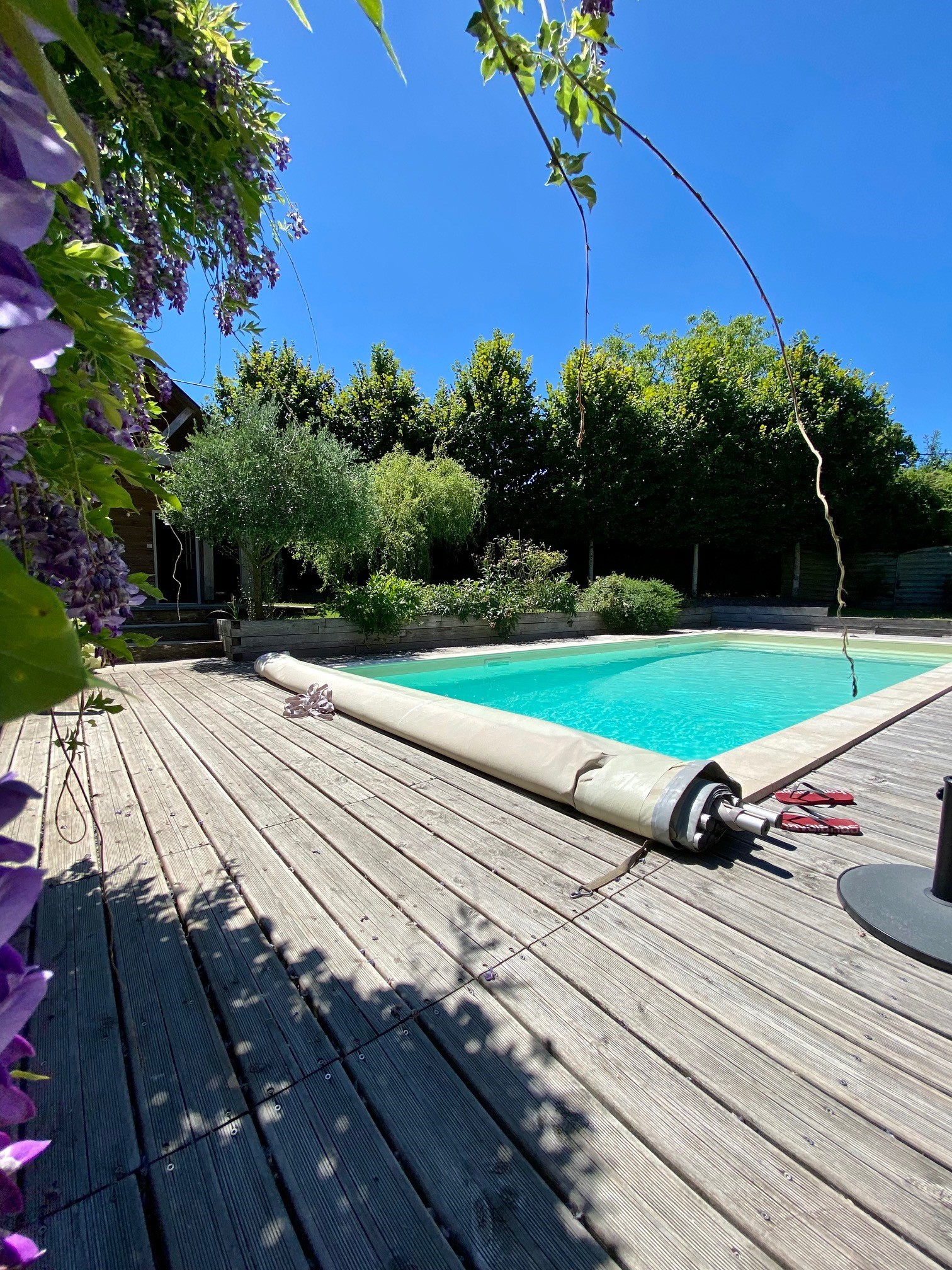 Le Chêne des Marais, La Chapelle-d'Angillon - photo 3