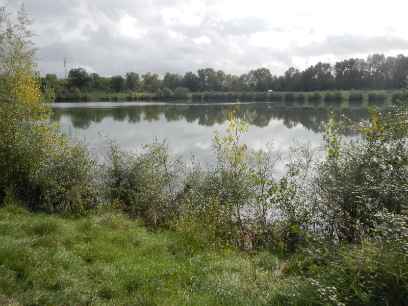Plan d'eau "les Grèves des Tuileries", Vouvray - photo 4