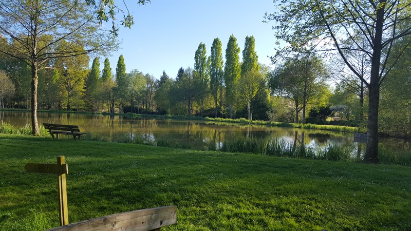 Pêche à l'étang communal de la Potinière — photo 3